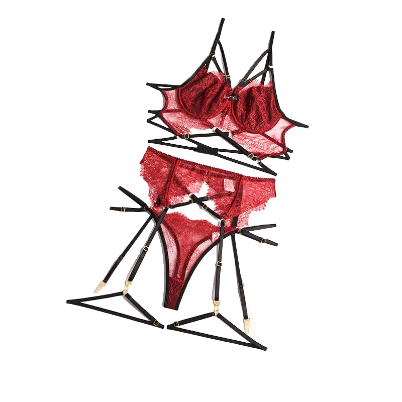 女性のためのセクシーなレースのランジェリーセット,エロティッ - Sheer Bra Lace のレビューと価格